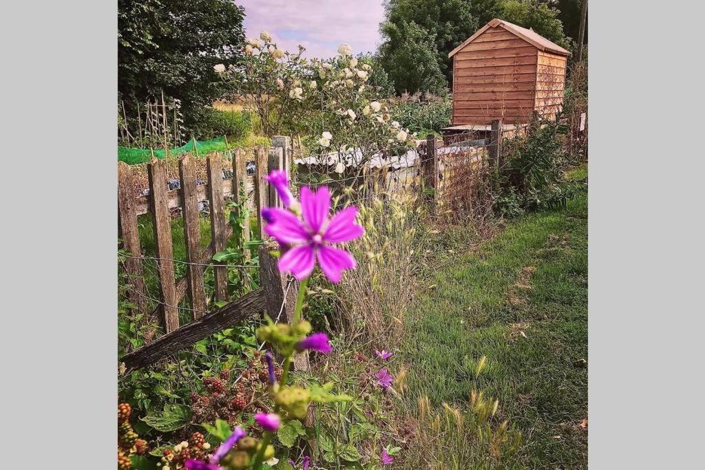Melford Allotment Shed-Vintage Lodge Suffolk Long Melford Εξωτερικό φωτογραφία